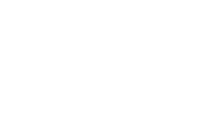 SpaceX logo